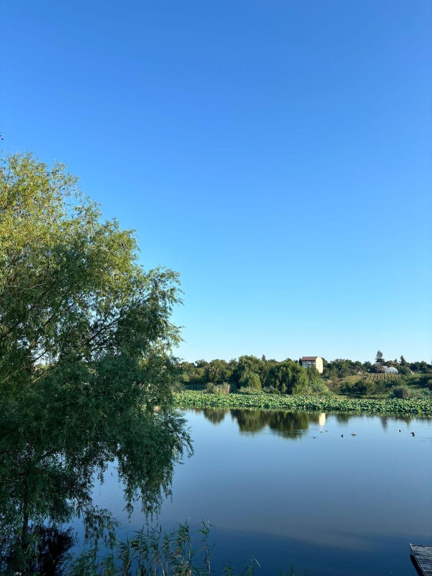 La Nuferi Lac To Therme & Aeroport Otopeni Hotel Snagov Eksteriør billede